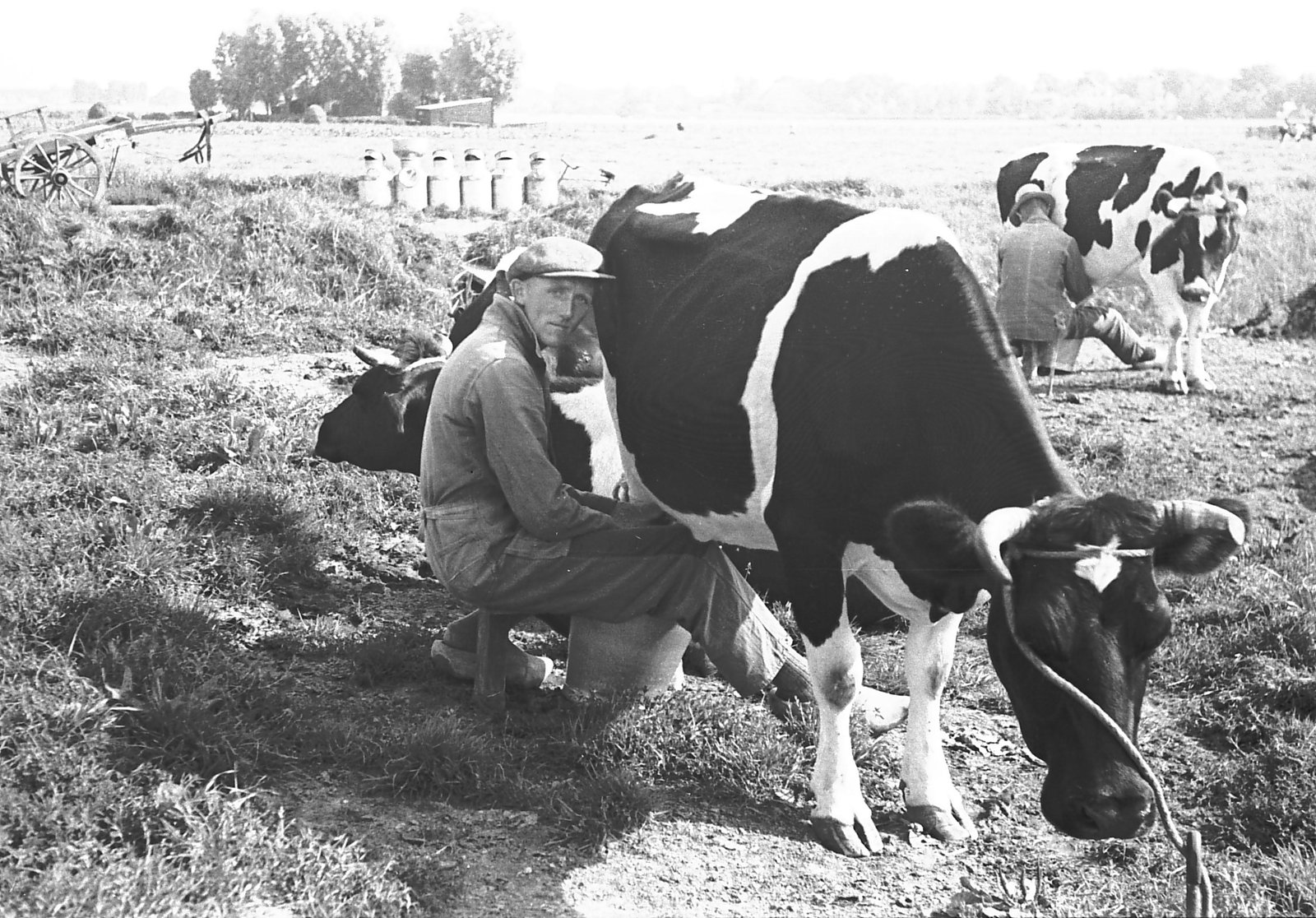 Dirk Koemelken