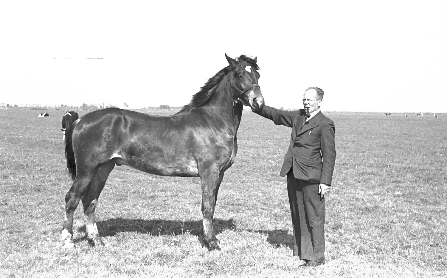 Dr.Bloem 10