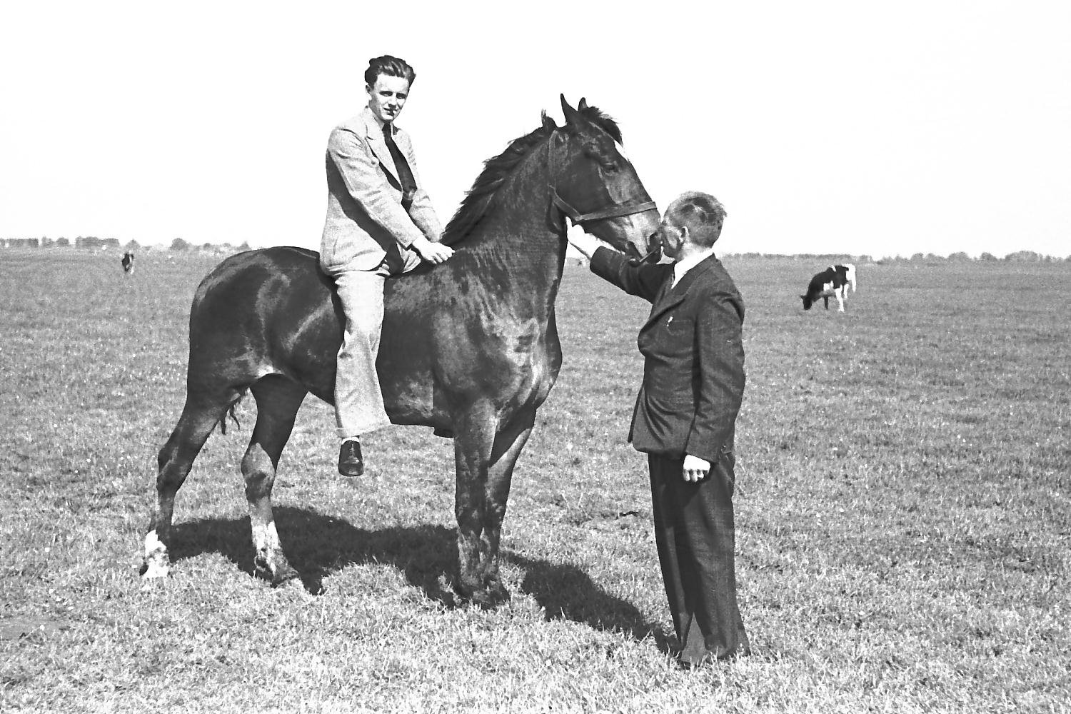 Dr.Bloem 18