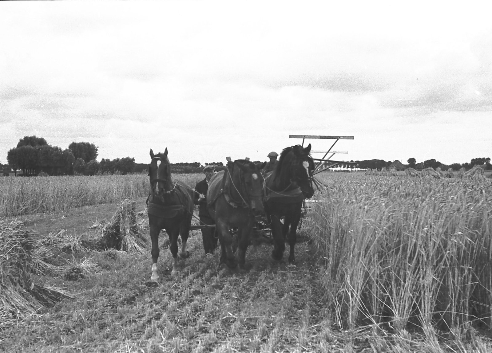 Spierdijk 4