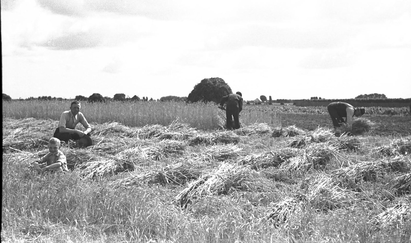 Waiboer 2
