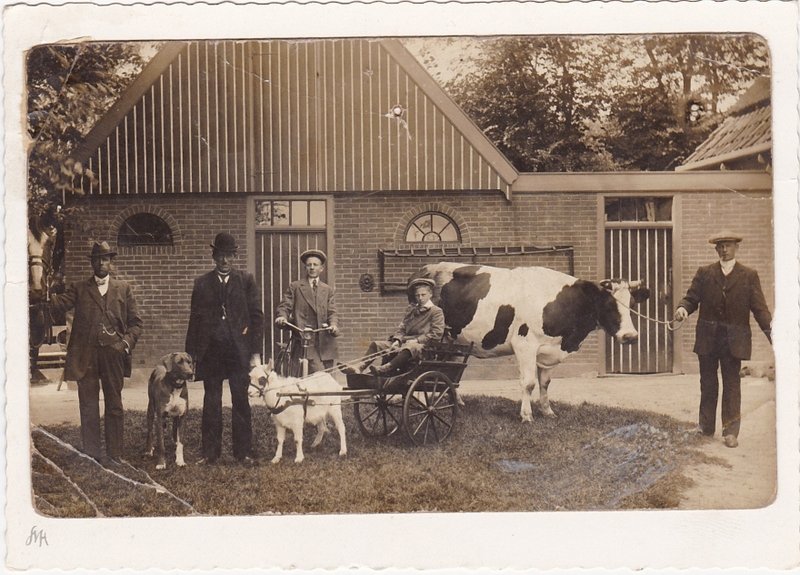 Fam. de Haan; foto 21