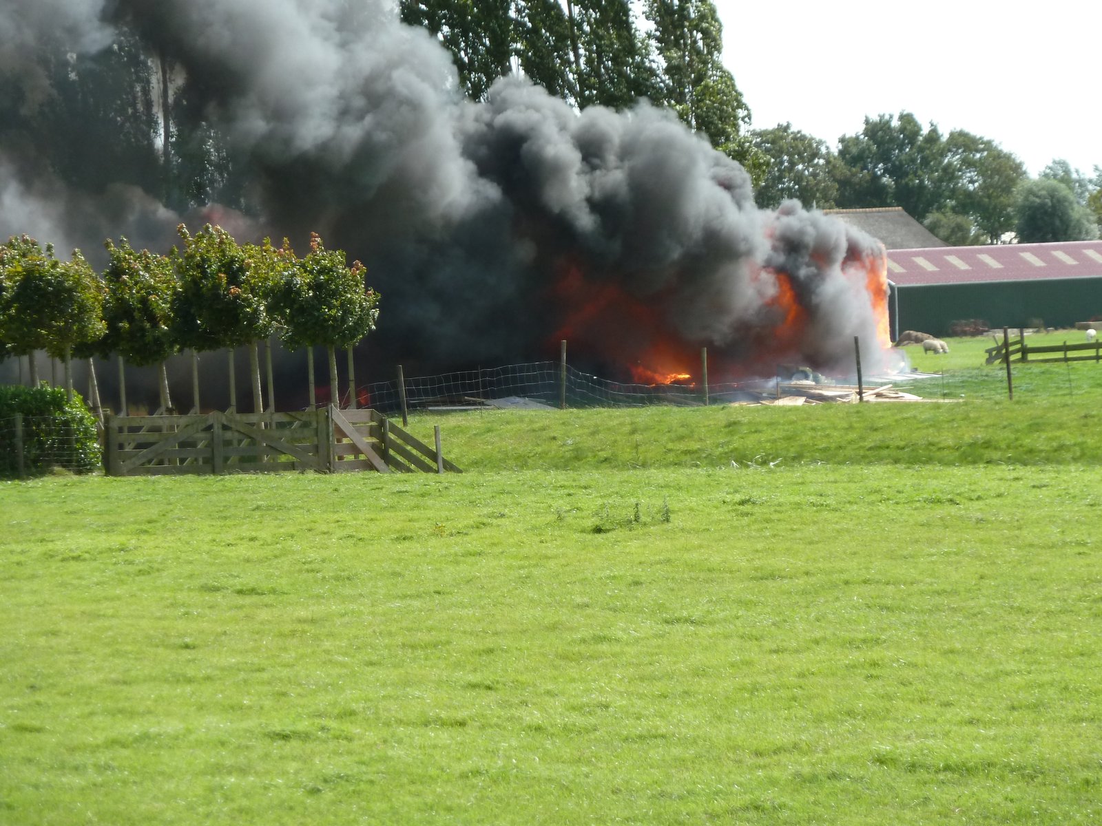 2014 aug 12 De kantine van de steeds gladder brand heel goed (2)