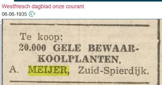 Advertentie bewaarkoolplanten, A. Meijer; 6 juni 1935